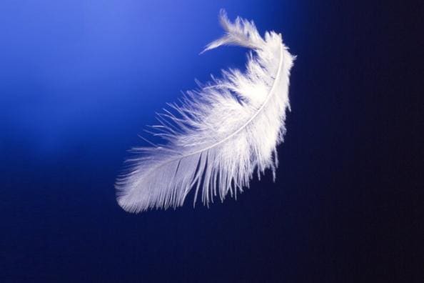 L’insostenibile leggerezza dell’infarto